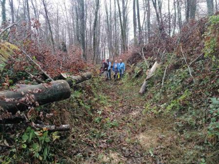 Urejanje pohodne poti Speca lepotica, foto O Skarja (1)
